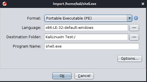 import file summary on ghidra