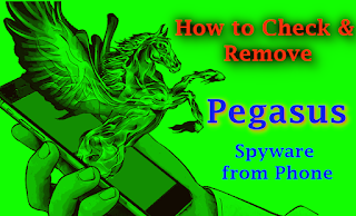 Pegasus on Kali Linux