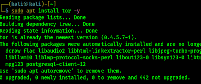 tor install on kali linux