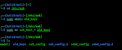 backup of ssh keys on old_keys directory
