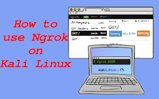 How to install ngrok on Kali  Linux