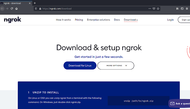 ngrok download page