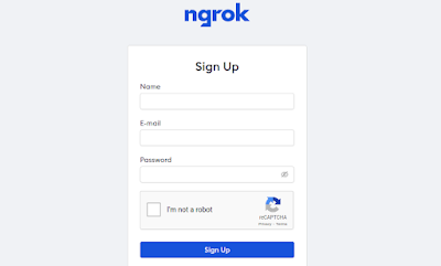 ngrok signup page