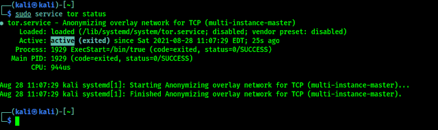 Tor services is running