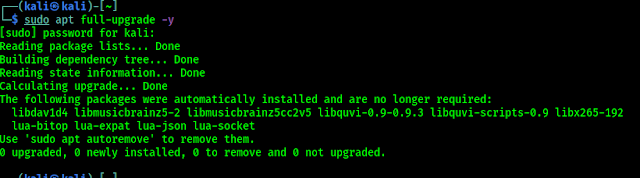 full-upgrade kali linux