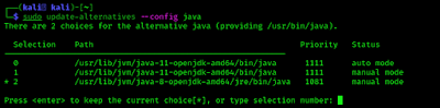 Java version 8 selecting on Kali Linux