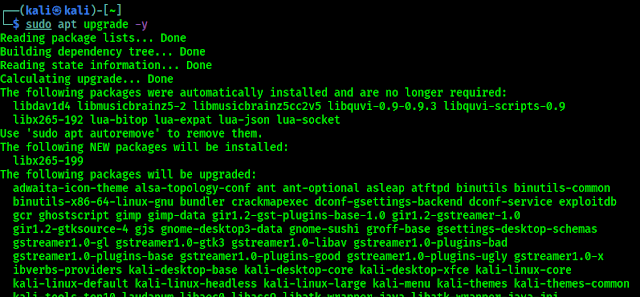 upgrading Kali Linux