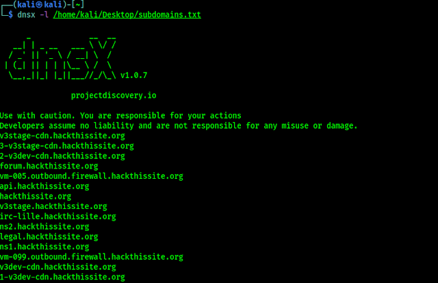 dnsx on Kali Linux