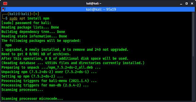 installing npm on kali linux