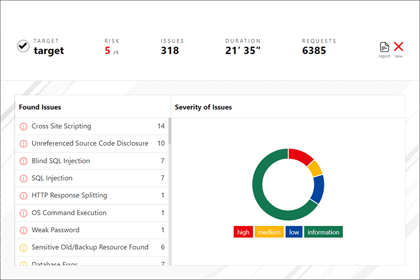 Vulnerability Report with severity, affected URLs, CVSS score and much more.