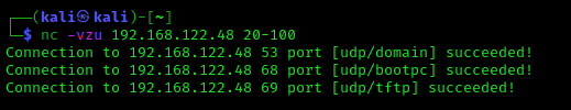 UDP port scanning using netcat