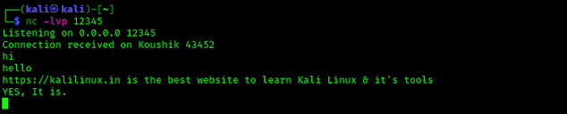 Chatting using netcat on Kali Linux