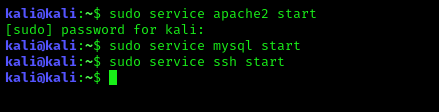 Starting services in Kali Linux