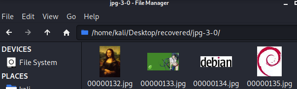 recovered files using scalpel on Kali Linux