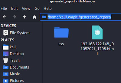 wapiti generated report