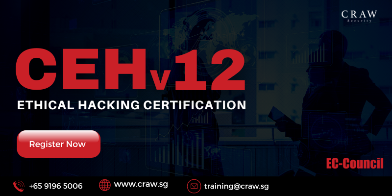 CEH Ethical Hacking Certification Course In Singapore