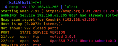 nmap scan result