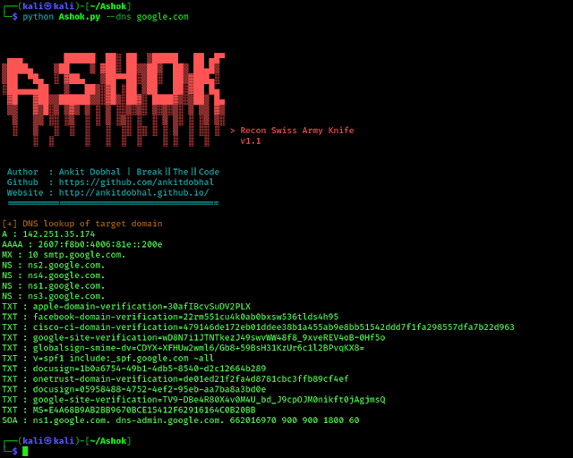 DNS scan using Ashok